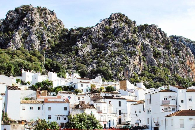 Private Guided Day Trip to the White Villages and Ronda from Seville - What the private vehicle adds