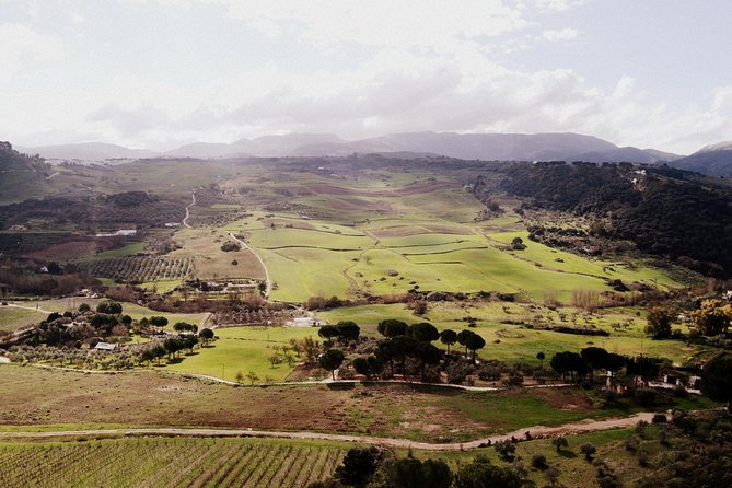 Private Guided Day Trip to the White Villages and Ronda from Seville - Who will get the most from this day?
