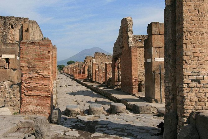 Private Tour: Pompeii and Positano Day Trip from Rome - Is $550.09 per person a fair price?