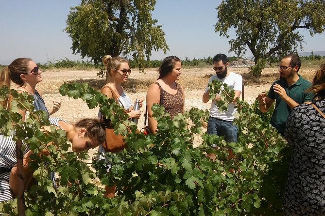 Private Wine Tour with Wine Tasting and Full Lunch (day trip) - Key points at a glance