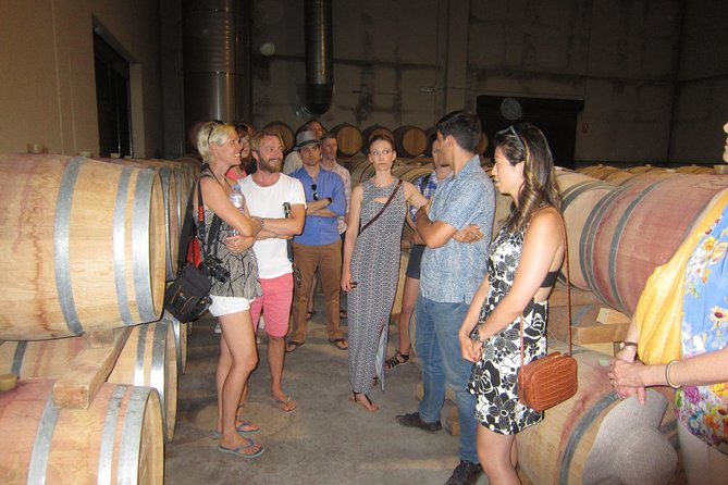 Private Wine Tour with Wine Tasting and Full Lunch (day trip) - Why this wine day works from Valencia