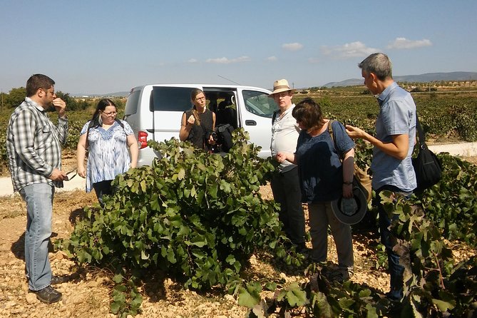 Private Wine Tour with Wine Tasting and Full Lunch (day trip) - Bodega Vera de Estenas and its family welcome