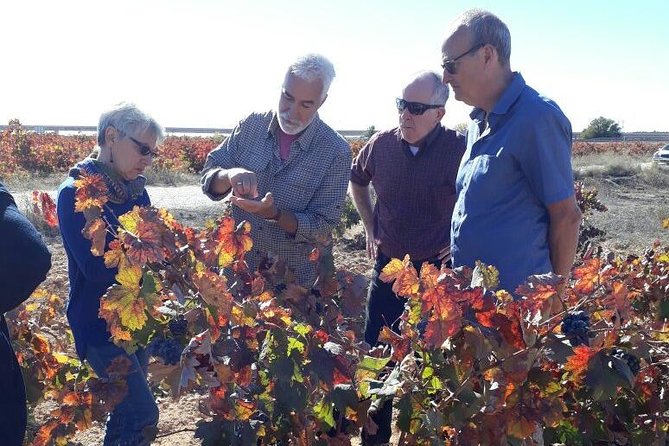 Private Wine Tour with Wine Tasting and Full Lunch (day trip) - A three-course lunch that slows the day down