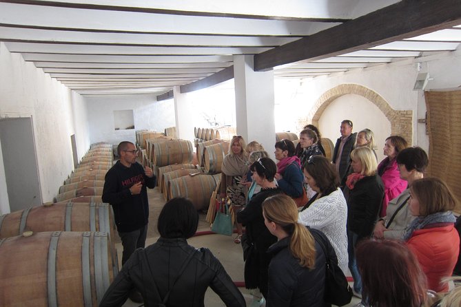 Private Wine Tour with Wine Tasting and Full Lunch (day trip) - Who should book this day trip?