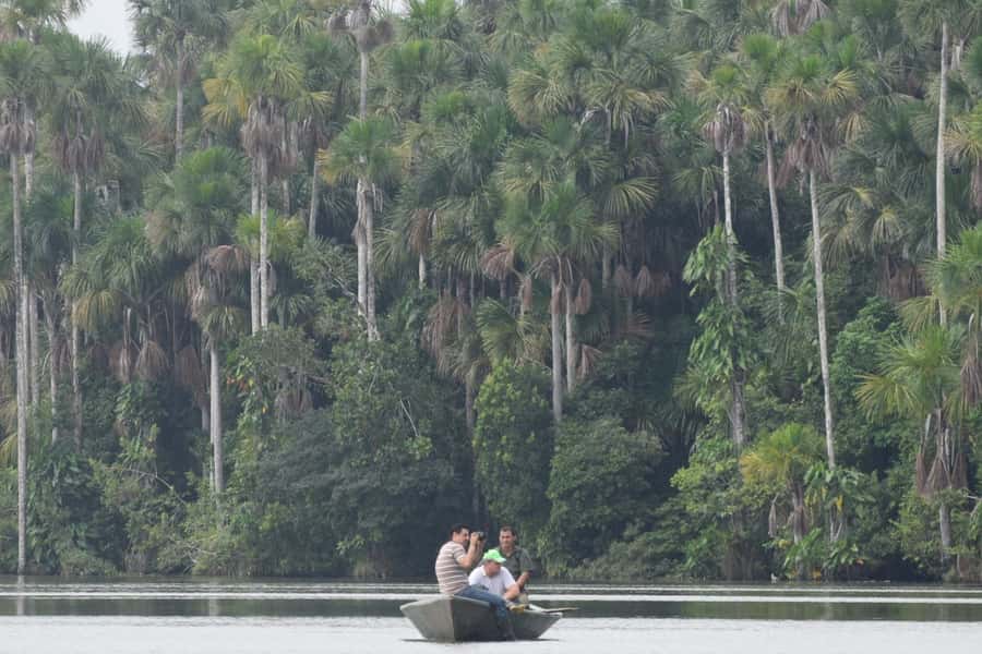 Puerto Maldonado: Sandoval Lake Full-Day Trip with Canoeing - A full day from Puerto Maldonado to Sandoval Lake