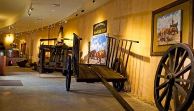 Punta Cana: Dominican Flavors Guided Day Trip