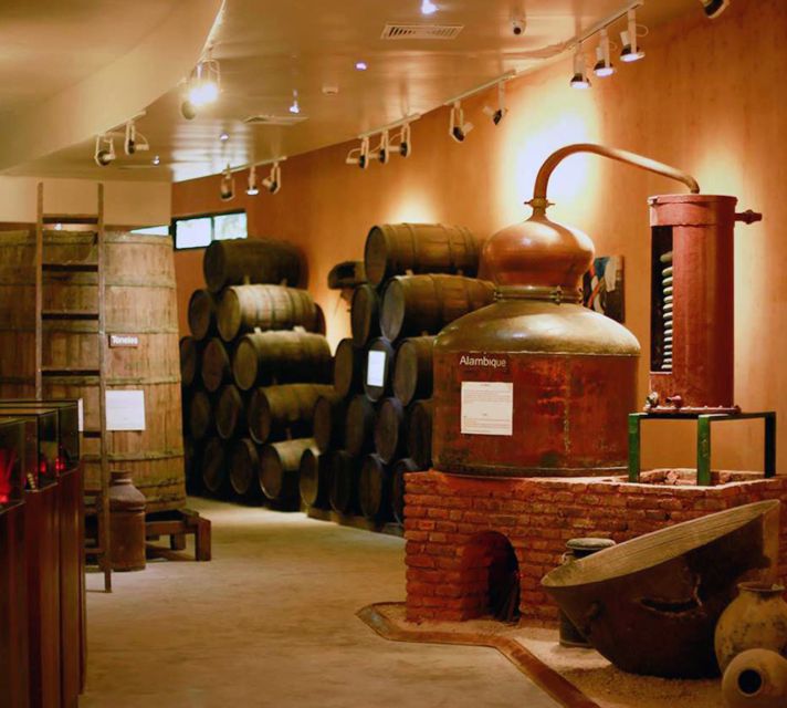 Punta Cana: Dominican Flavors Guided Day Trip - The Barceló Historic Center in San Pedro de Macorís