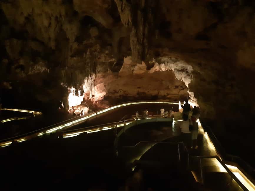 Punta Cana: Dominican Flavors Guided Day Trip - Should You Book the Dominican Flavors Day Trip?