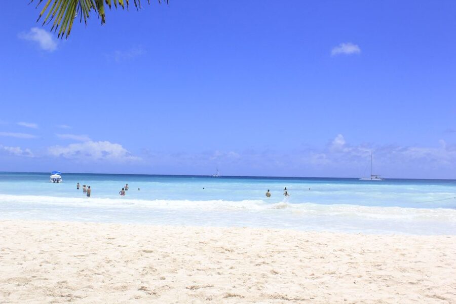 Punta Cana: Saona Island and Altos de Chavón Day Trip - Who should book this excursion?
