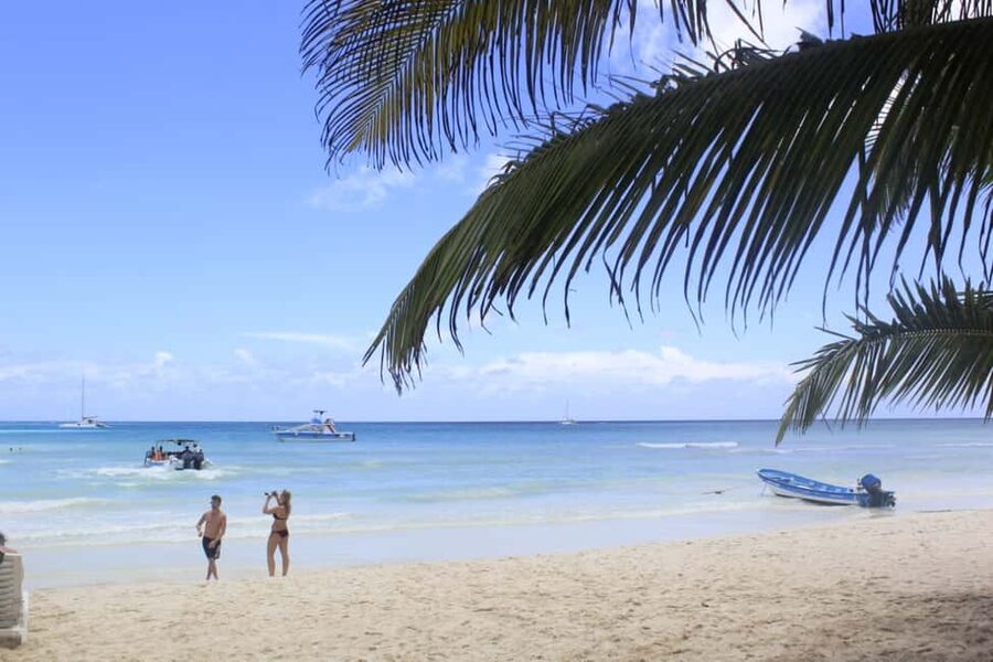 Punta Cana: Saona Island and Altos de Chavón Day Trip - Saona Island: the day’s strongest reward