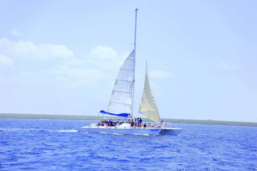 Punta Cana: Saona Island and Altos de Chavón Day Trip - The guides make a real difference