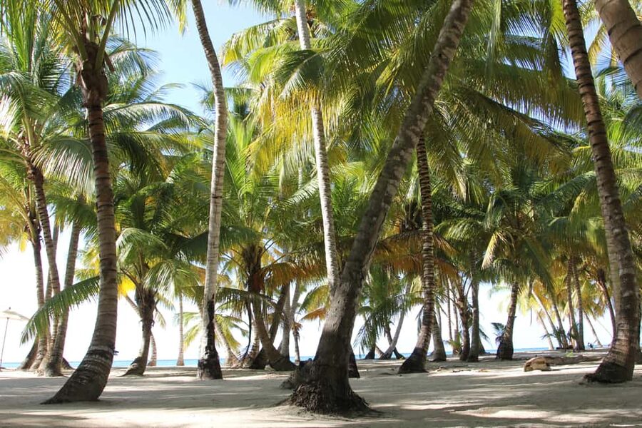 Punta Cana: Saona Island and Altos de Chavón Day Trip - What to pack for this particular day