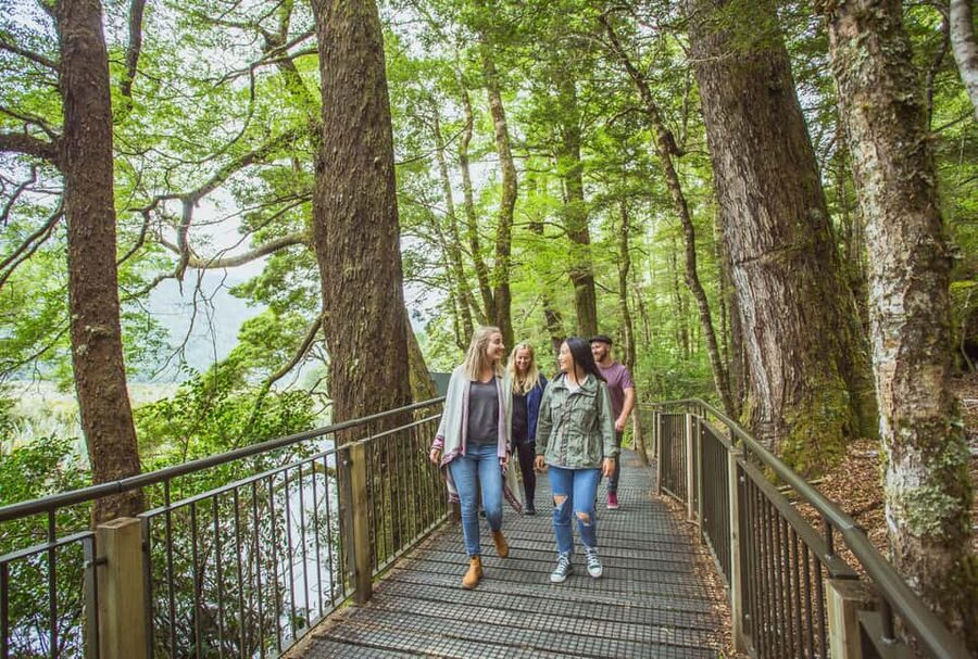 Queenstown: Milford Sound Coach & Cruise Full-Day Trip - Why the long Queenstown drive is worth considering