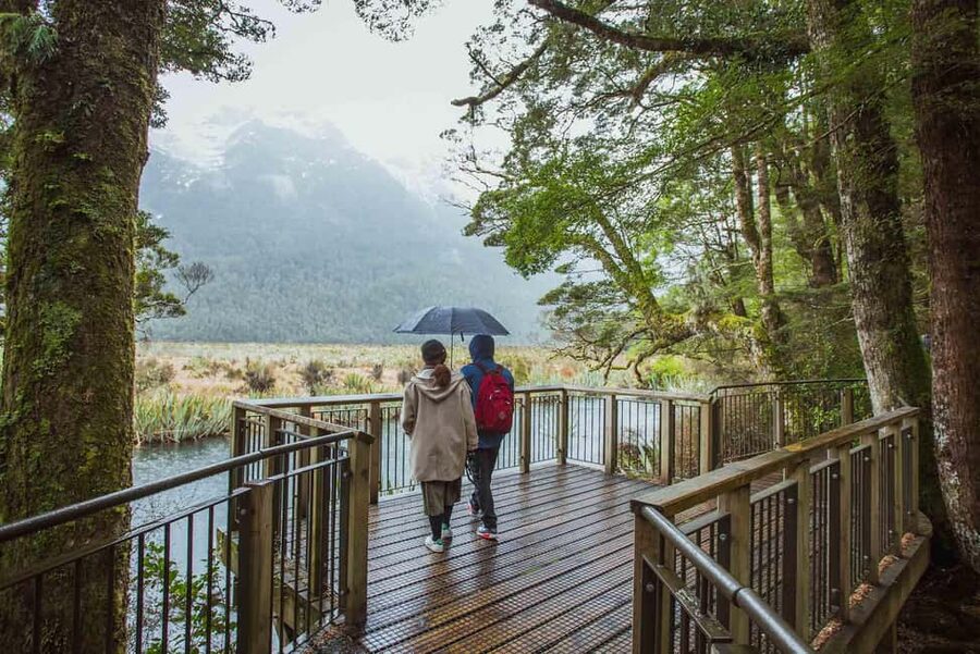 Queenstown: Milford Sound Coach & Cruise Full-Day Trip - How the guides shape the day
