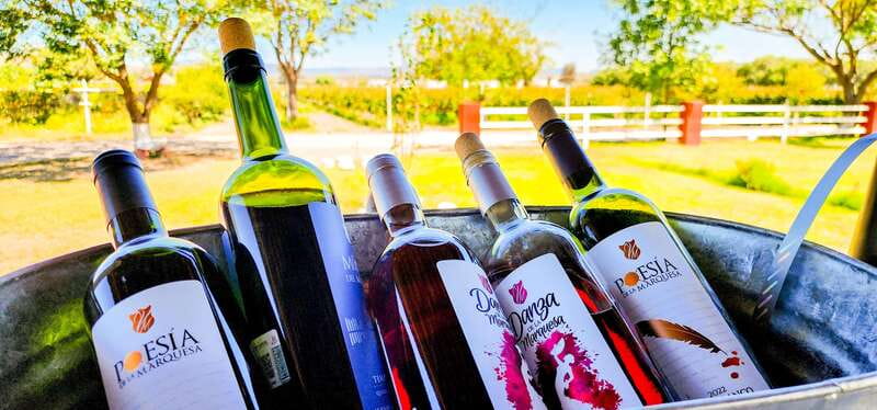 Querétaro: Haciendas, Vineyards, and Magical Towns Day Trip - The guides can shape the whole experience