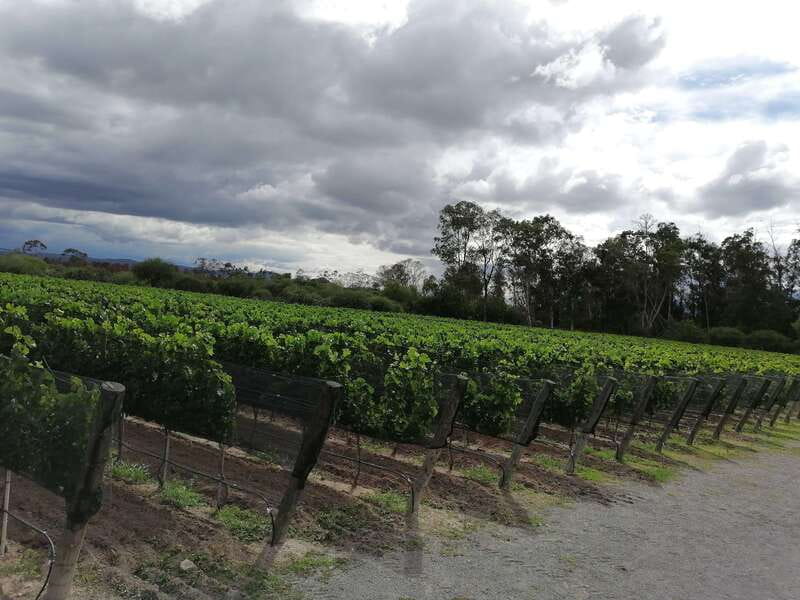 Querétaro: Haciendas, Vineyards, and Magical Towns Day Trip - How demanding is the schedule?