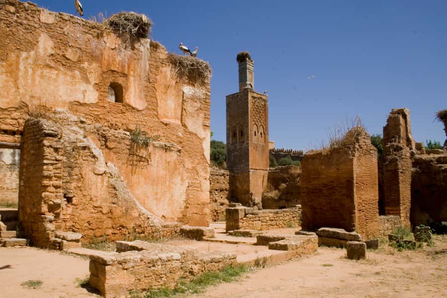 Rabat: Full-Day Trip from Casablanca - Rue des Consuls and Souika Street in the Medina