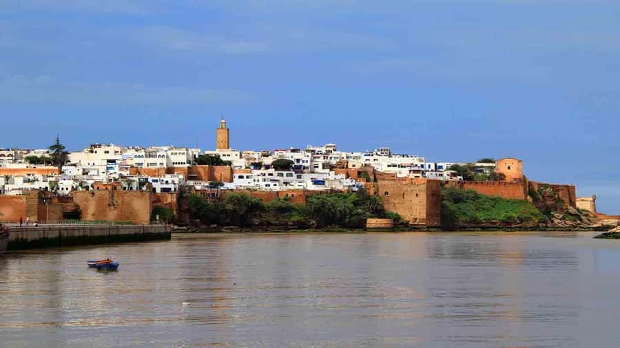 Rabat: Full-Day Trip from Casablanca - The Royal Palace area and Mohamed V University