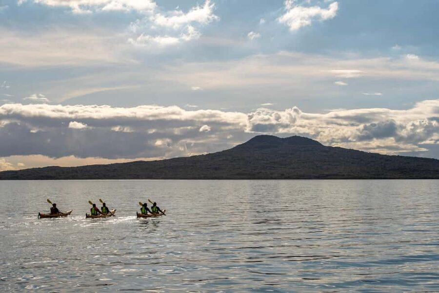 Rangitoto Island: Sea Kayak & Summit Hike Day Trip - Why Rangitoto makes such a good Auckland day trip