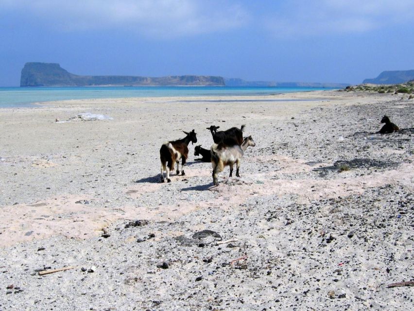 Rethymno: Gramvousa & Balos Lagoon Day Trip with Boat Ticket - Why this day trip works well from Rethymno