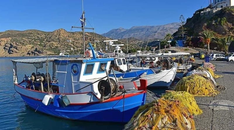 Rethymno:Matala ,Agia Galini,Botanic Garden & Spili Day Trip - Who should book this excursion?
