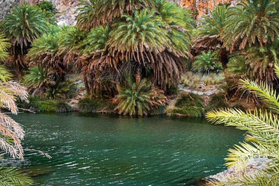 Rethymno: Preveli Beach Damnoni Beach Kourtaliotiko Day Trip - Guides, languages, and organization