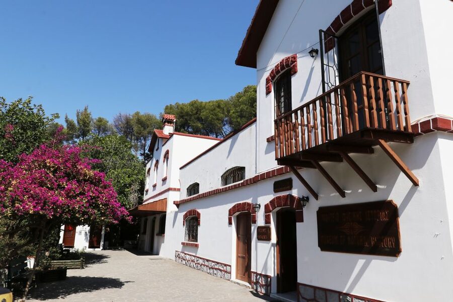 Rhodes: Butterfly Valley and Seven Springs Valley Day Trip - The drive across Rhodes to Seven Springs