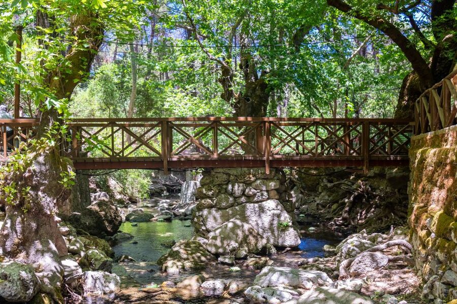 Rhodes: Butterfly Valley and Seven Springs Valley Day Trip - What the $34 price really includes