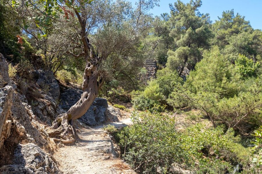 Rhodes: Butterfly Valley and Seven Springs Valley Day Trip - My verdict on the seven-hour outing