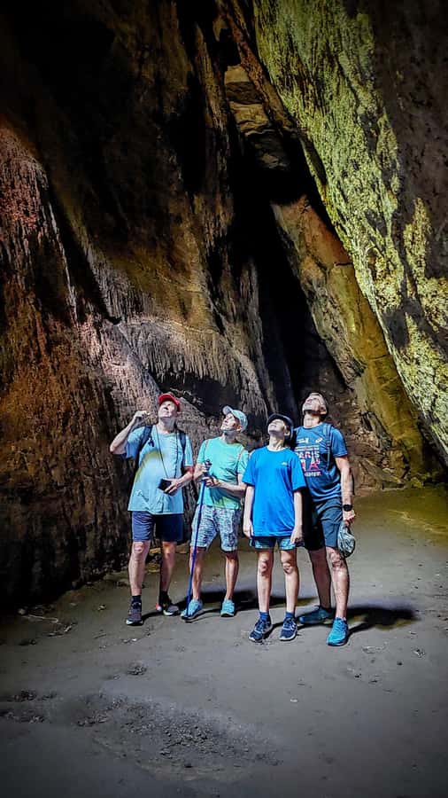 Rio de Janeiro: Tijuca Forest Challenge Hike Full-Day Trip - Why This Tijuca Hike Feels Different