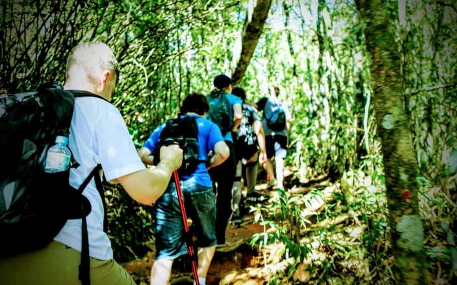 Rio de Janeiro: Tijuca Forest Challenge Hike Full-Day Trip - The Main Climb Toward Taquara Hill