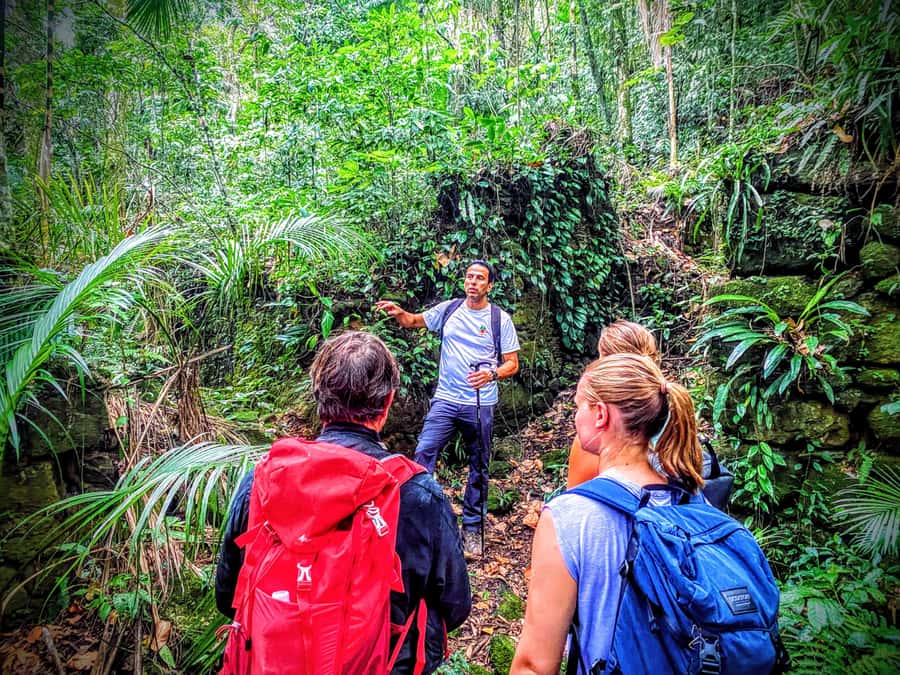 Rio de Janeiro: Tijuca Forest Challenge Hike Full-Day Trip - Taquara Hill and the Two Viewpoints