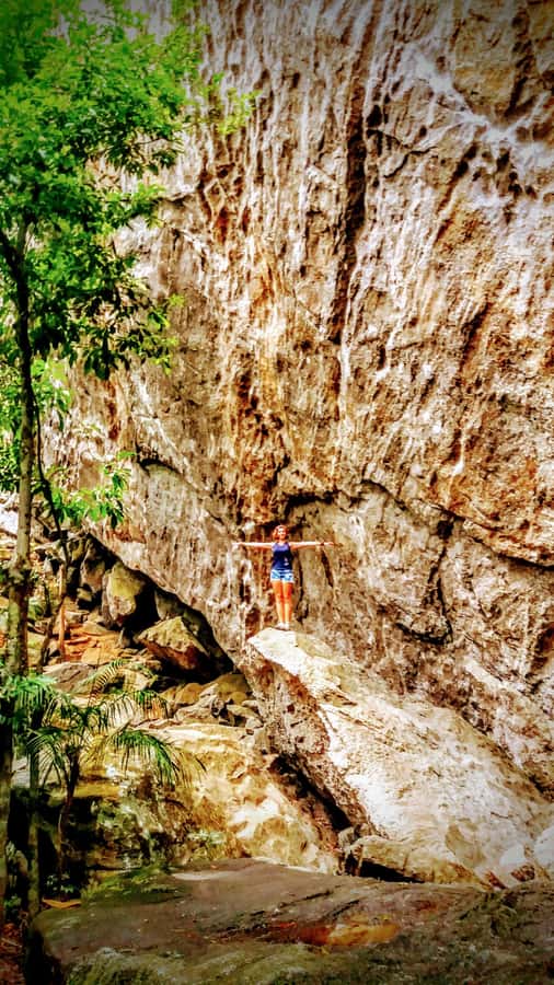 Rio de Janeiro: Tijuca Forest Challenge Hike Full-Day Trip - Old Coffee-Farm Ruins and the Quiet Trail
