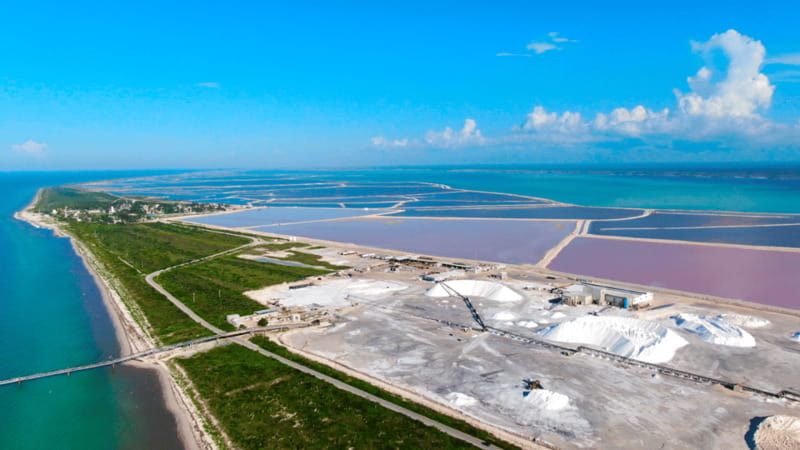 Riviera Maya: Rio Lagartos & Las Coloradas Day Trip w/Lunch - Should you book the Rio Lagartos and Las Coloradas day trip?