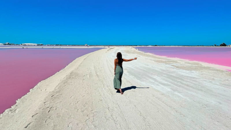 Riviera Maya: Rio Lagartos & Las Coloradas Day Trip w/Lunch - Rio Lagartos by boat: crocodiles, flamingos, and mangrove channels