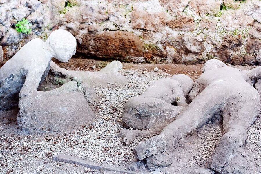 Rome: Pompeii and Naples Day Trip with Pompeii Entry Ticket - Who should book this day trip