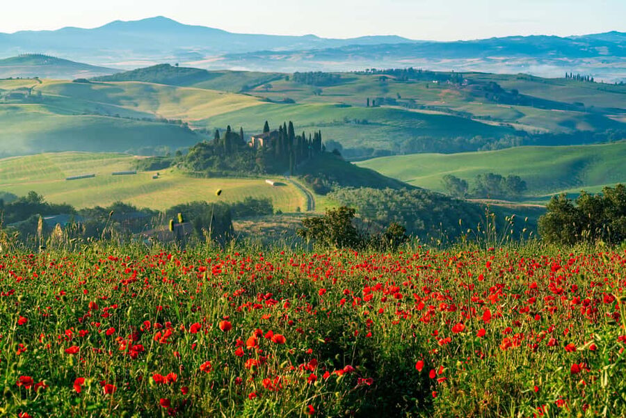 Rome: Tuscany & Montepulciano Day Trip with Lunch & Wines - Pienza and the pleasures of Pecorino