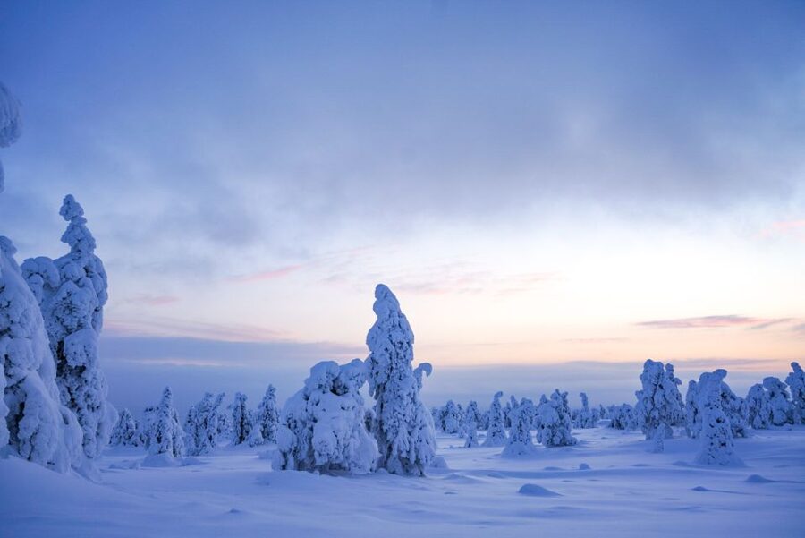 Rovaniemi: Riisitunturi National Park Day Trip with Lunch - Walking the 4-kilometre winter trail