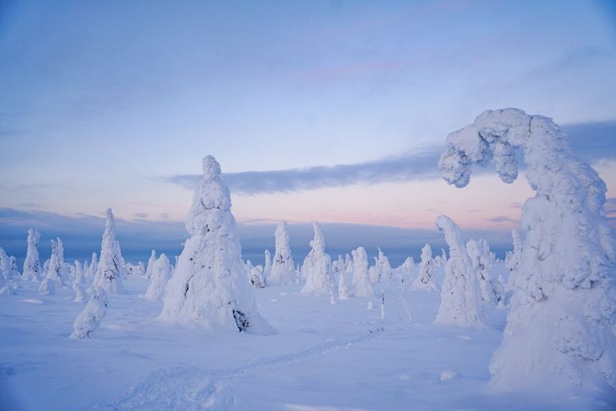 Rovaniemi: Riisitunturi National Park Day Trip with Lunch - The wilderness shelter and Finnish fire