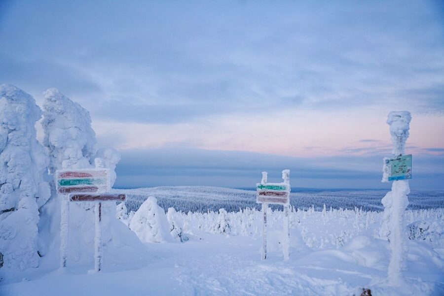 Rovaniemi: Riisitunturi National Park Day Trip with Lunch - Clothing, cold, and physical demands