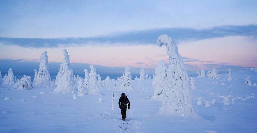 Rovaniemi: Riisitunturi National Park Day Trip with Lunch - Starting from Rovaniemi and heading east