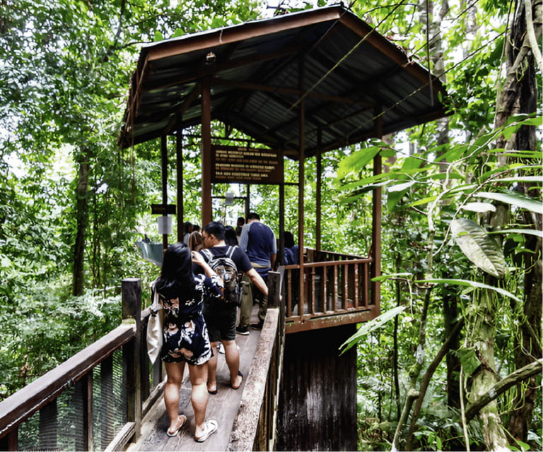 Sabah: Kota Kinabalu Park and Hot Spring Day Trip - Lunch and the afternoon canopy walk