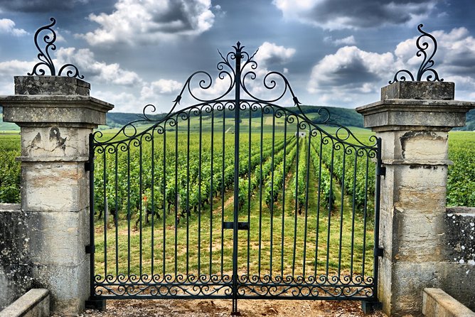 Saint Emilion Day Trip with Sightseeing Tour & Wine Tastings from Bordeaux - What $250.33 buys you