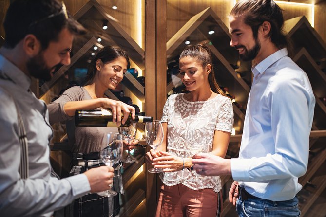 Saint Emilion Half-Day Trip with Wine Tasting & Winery Visit from Bordeaux - Who should book this half-day trip?