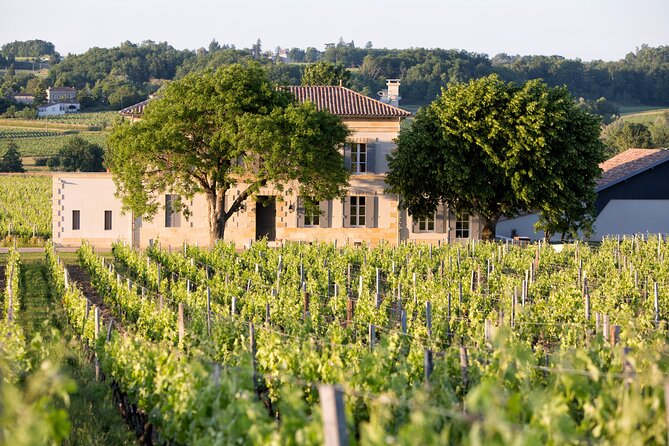 Saint Emilion Half-Day Trip with Wine Tasting & Winery Visit from Bordeaux - FAQ