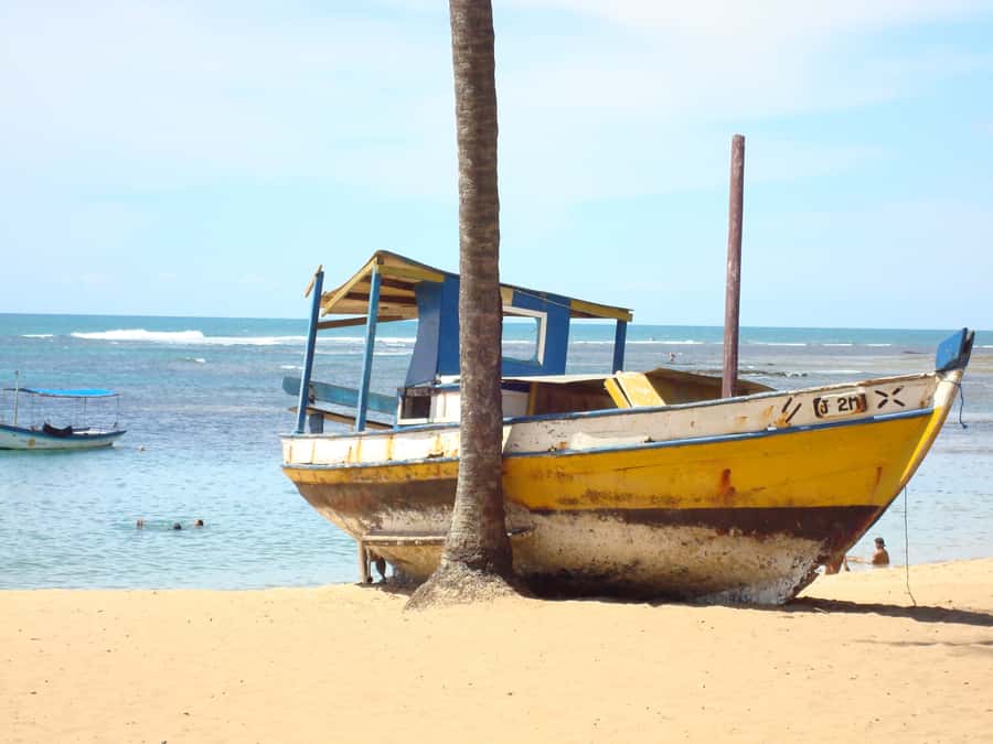 Salvador: Praia Do Forte and Guarajuba Beach Day Trip - Key points to know before booking