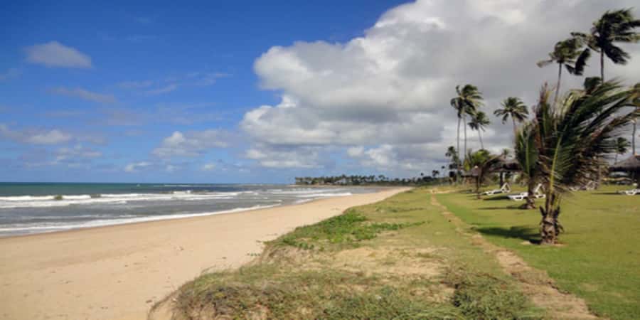 Salvador: Praia Do Forte and Guarajuba Beach Day Trip - Guarajuba Beach for calm water and lunch