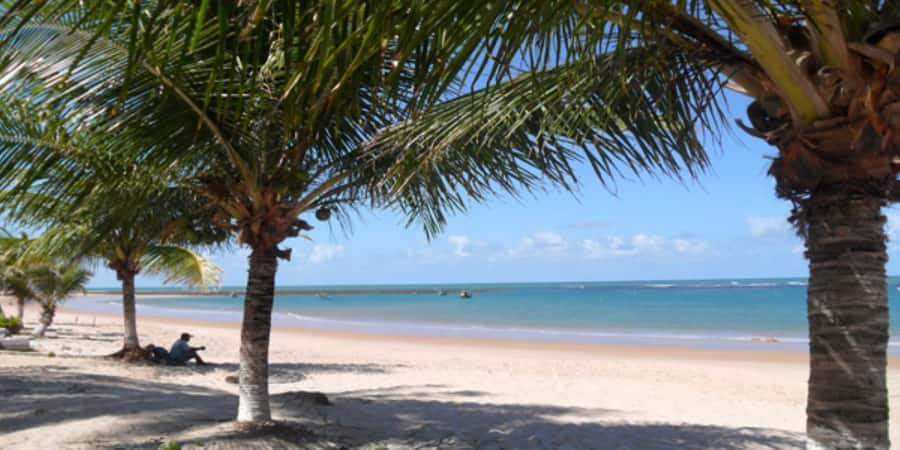 Salvador: Praia Do Forte and Guarajuba Beach Day Trip - What to pack for the beaches