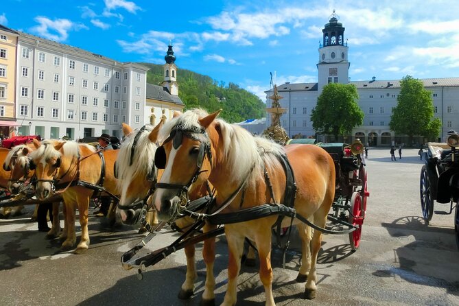 Salzburg: Small-Group Day Trip from Vienna - The real question: is Salzburg worth a day from Vienna?