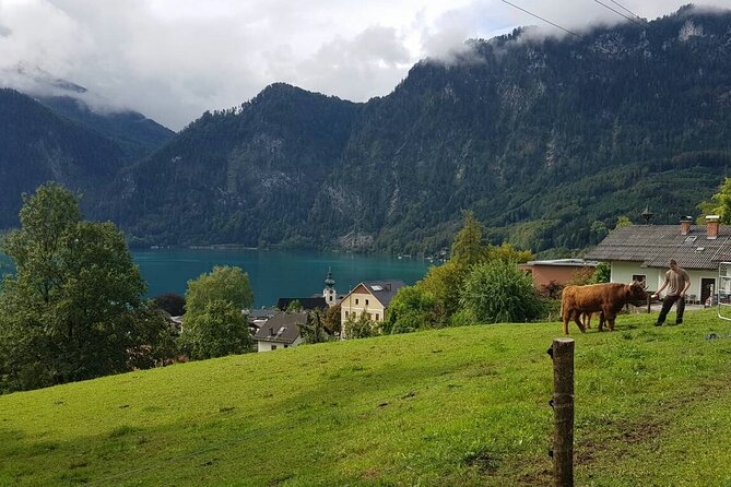 Salzburg: Small-Group Day Trip from Vienna - The Sound of Music connection
